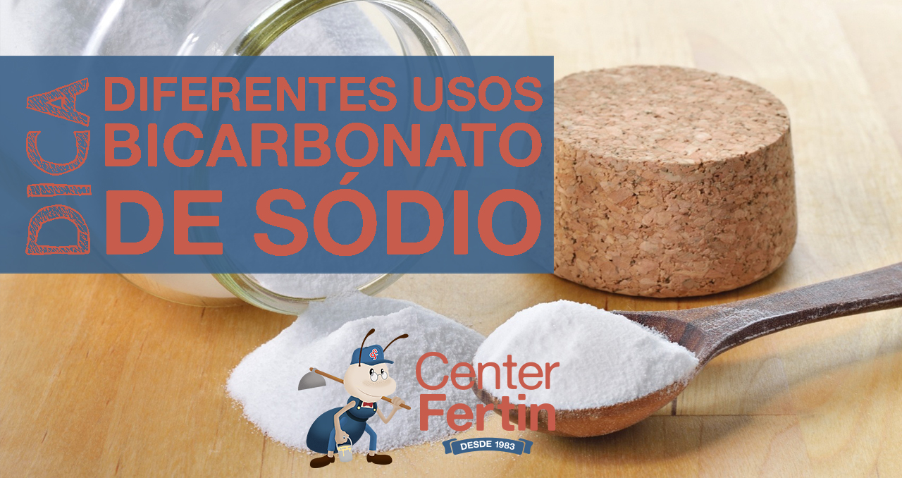 O íon Bicarbonato Pode Ser Decomposto Pela Reação