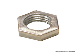 PORCA PARA LUSTRE ZINCADA 20 PEÇAS BLISTER