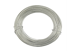 ARAME GALVANIZADO 25MX1MM BLISTER