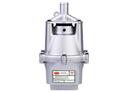 BOMBA RAYMA 950 FIRE 220V