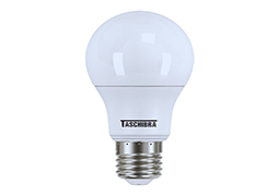 LAMPADA LED BULBO TASCHIBRA 017W 6500K