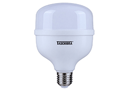 LAMPADA LED BULBO TASCHIBRA 040W 6500K