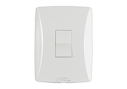 INTERRUPTOR PETRA SOFT SIMPLES VERTICAL COM PLACA S-E1VP-81001v